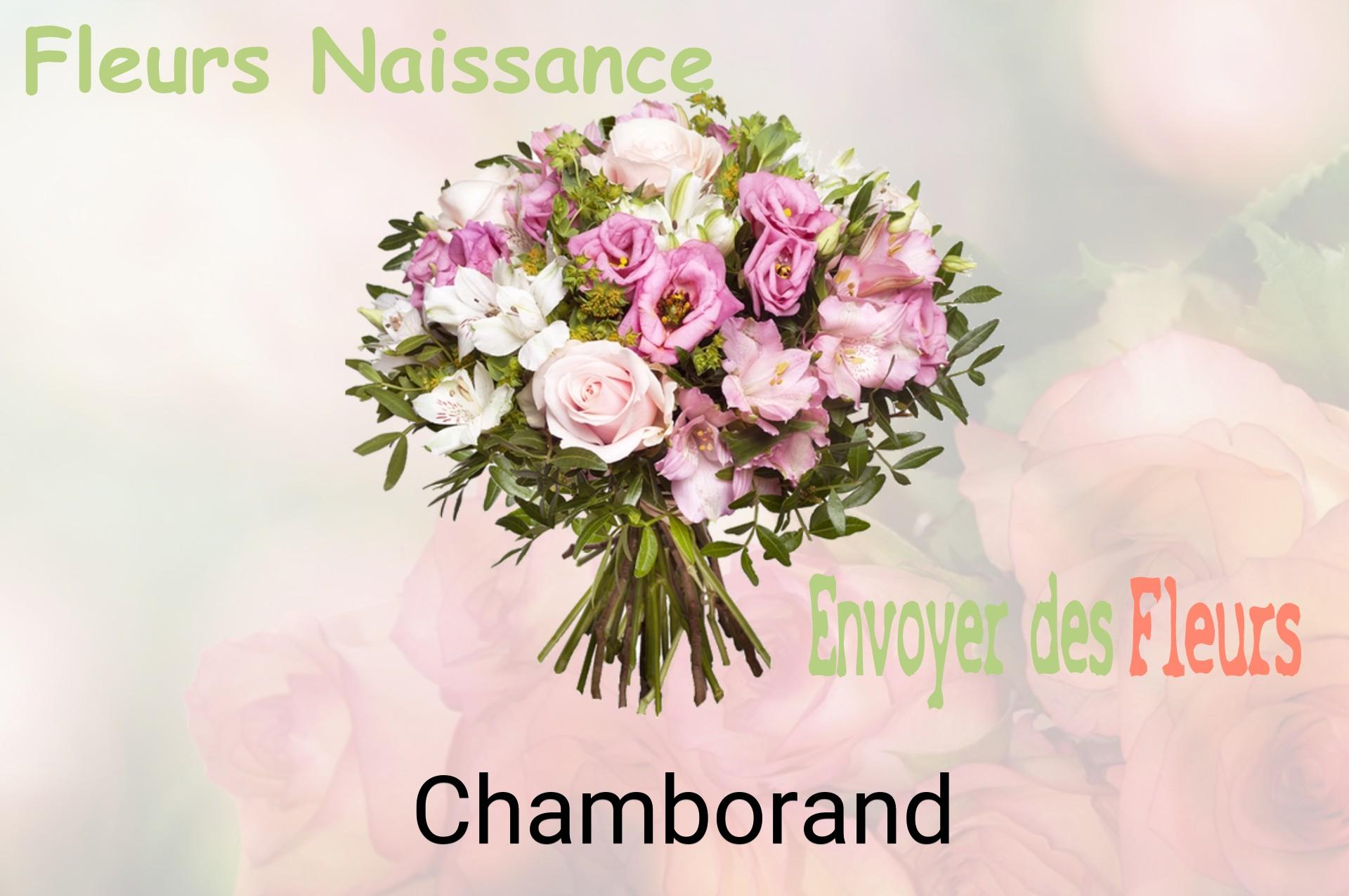 Bouquet de fleurs de naissance livré à Chamborand